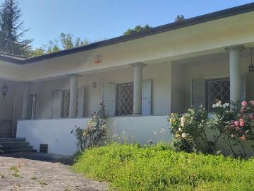 Villa unifamiliare in vendita a Camaiore
