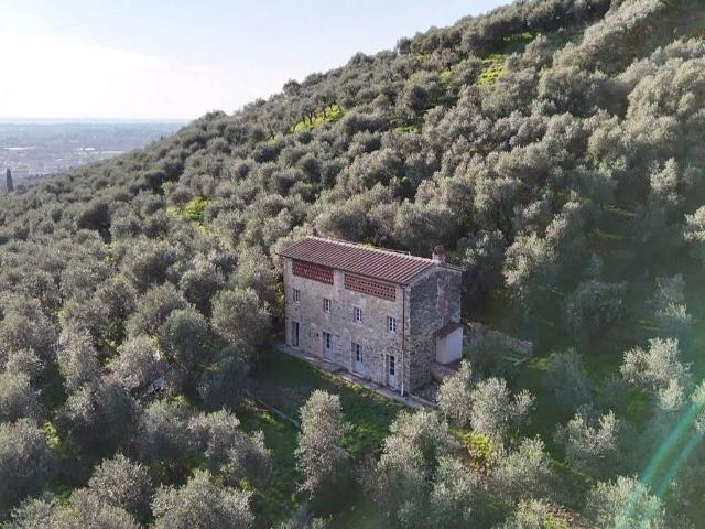 Villa in vendita a Camaiore LU