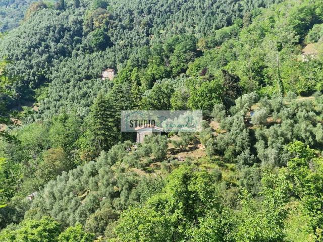 Villa in vendita a Camaiore LU