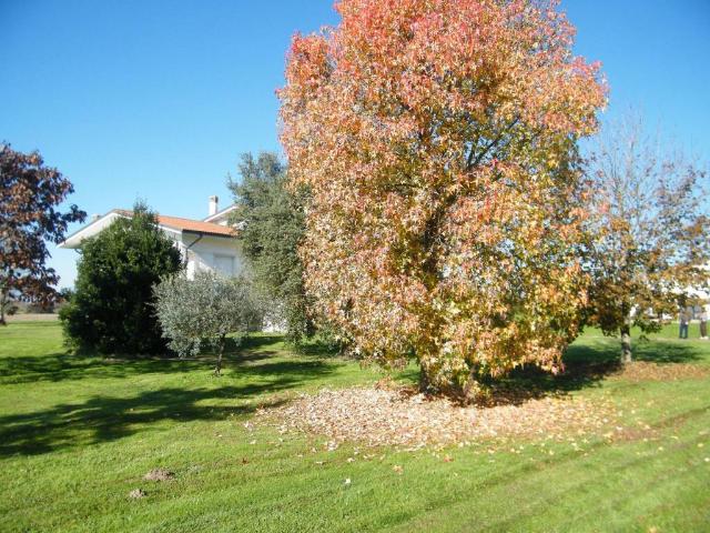 Villa in vendita a Camisano Vicentino VI
