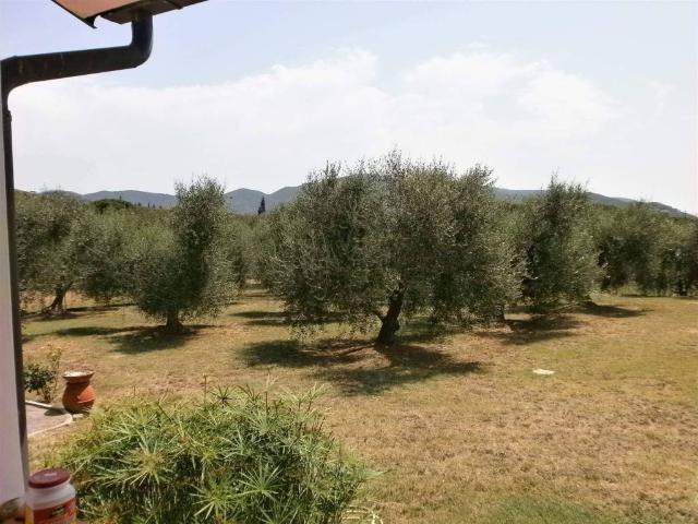 Villa in vendita a Campo nell'Elba LI