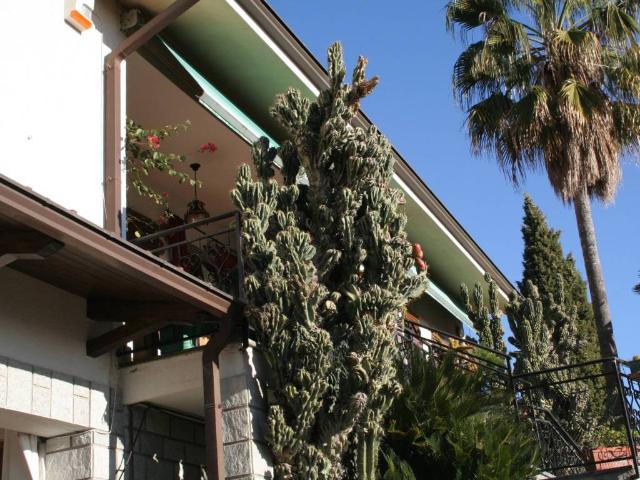 Villa in vendita a Camporosso IM
