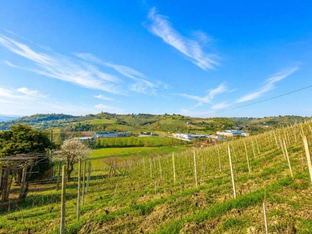 Villa in vendita a Canelli