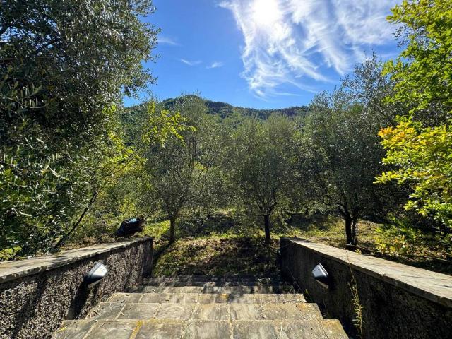 Villa in vendita a Cantagallo PO