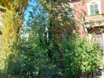 Villa in vendita a Caorso PC