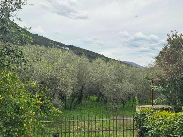 Villa in vendita a Capannori LU