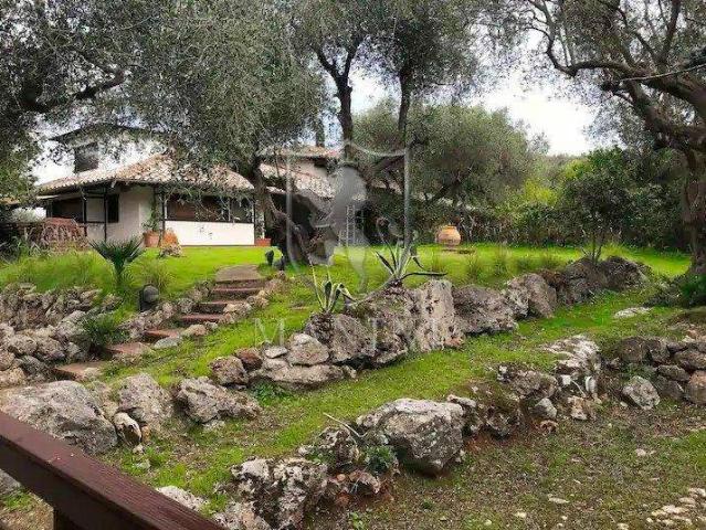 Villa in vendita a Capalbio, Capalbio
