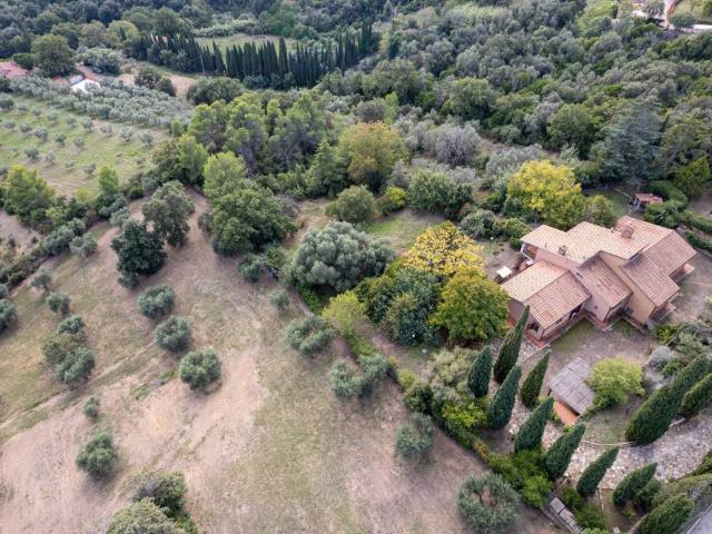 Villa in vendita a Capalbio GR