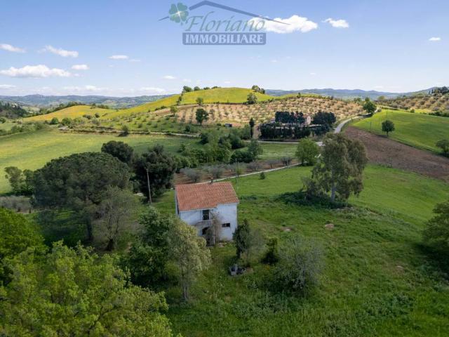 Villa in vendita a Capalbio GR