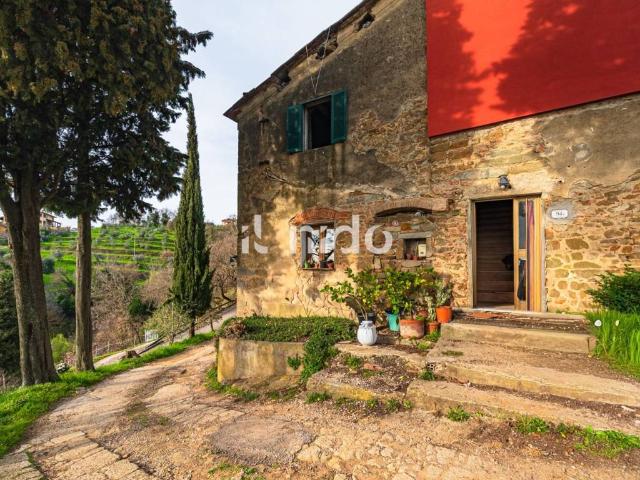 Villa in vendita a Capraia e Limite FI