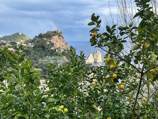 Villa in vendita a Capri NA