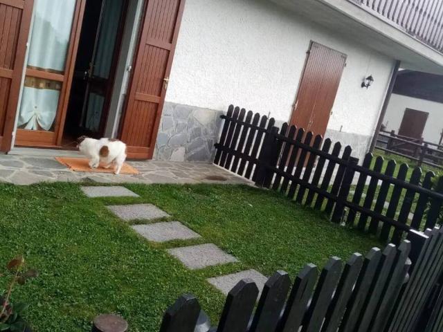 Villa in vendita a Careggine LU