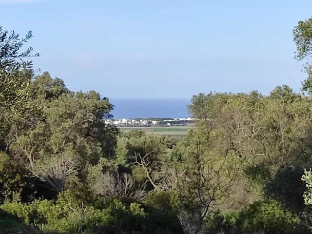 Villa in vendita a Carovigno BR