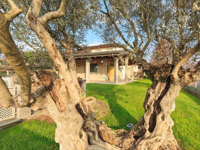 Villa in vendita a Carpaneto Piacentino PC