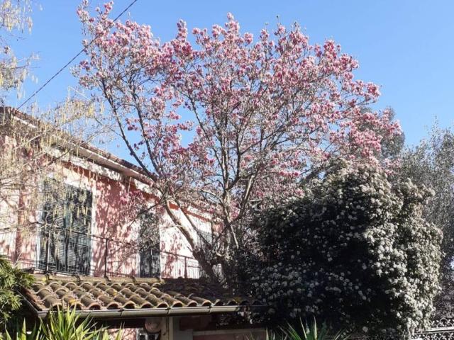Villa in vendita a Carrara MS