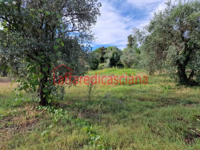 Villa in vendita a Casciana Terme Lari PI