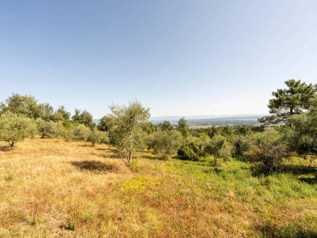 Villa in vendita a Casciana Terme Lari PI