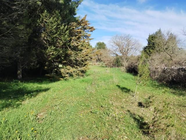 Villa in vendita a Cassano delle Murge BA