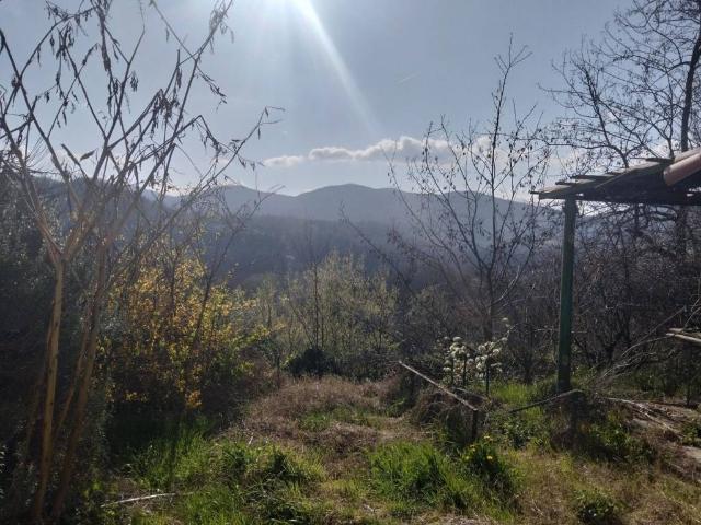 Villa in vendita a Cassinelle AL