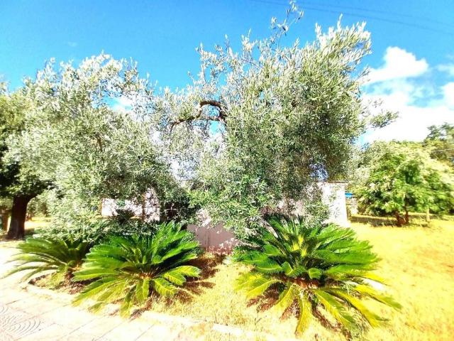Villa in vendita a Castagneto Carducci LI