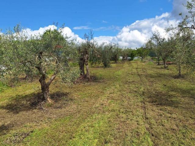 Villa in vendita a Castel Campagnano CE
