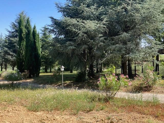Villa in vendita a Castel San Pietro Terme BO