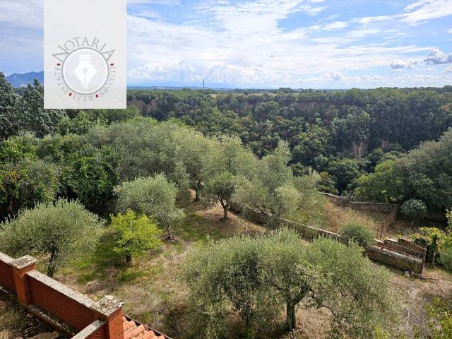 Villa in vendita a Castel Sant'Elia VT