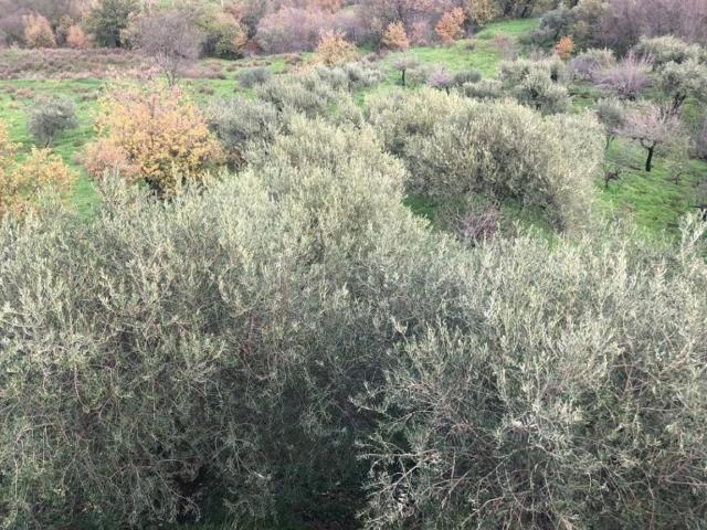 Villa in vendita a Castelbuono PA