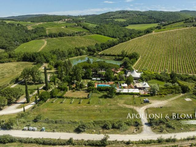 Villa in vendita a Castellina in Chianti SI