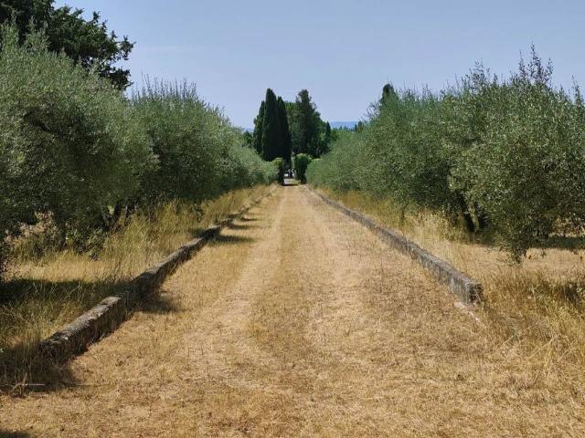 Villa in vendita a Castelnuovo Berardenga SI