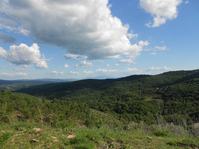Villa in vendita a Castelnuovo Berardenga SI