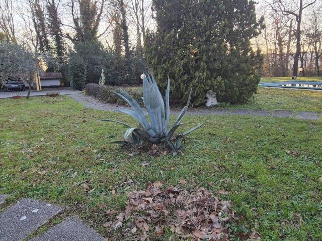 Villa in vendita a Castelnuovo Magra SP