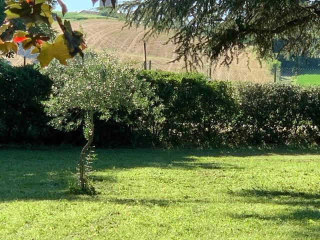 Villa in vendita a Castelvetro di Modena MO