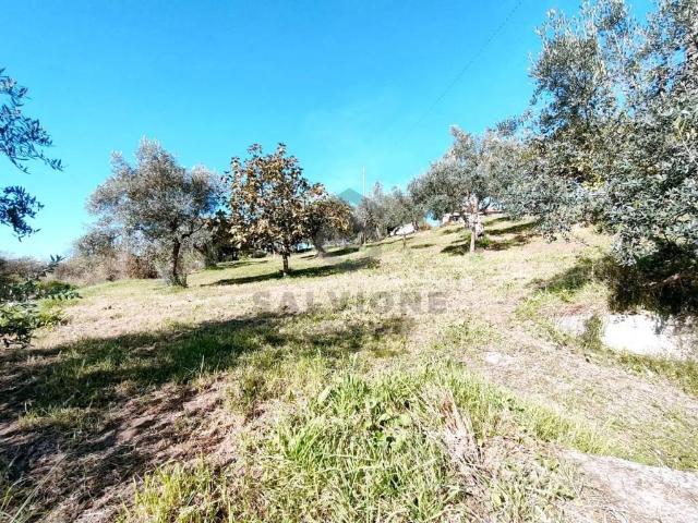 Villa in vendita a Castelvenere BN