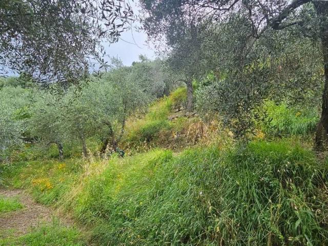 Villa in vendita a Castiglione Chiavarese GE