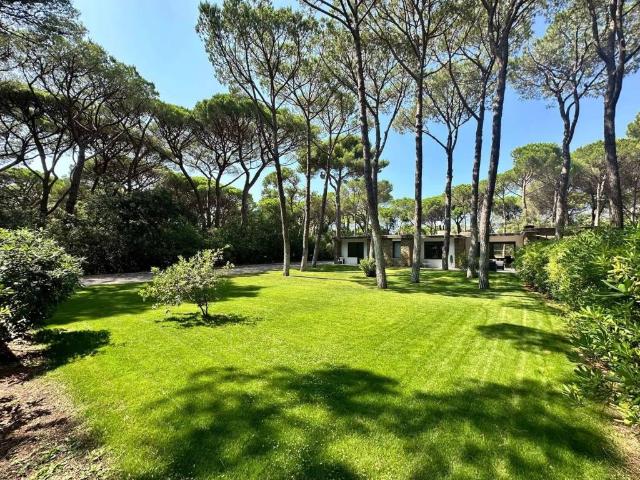 Villa in vendita a Castiglione della Pescaia GR