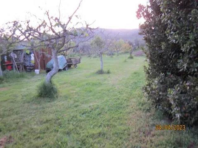 Villa in vendita a Castiglione della Pescaia GR