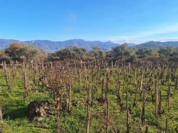 Villa in vendita a Castiglione di Sicilia CT