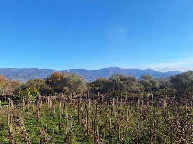 Villa in vendita a Castiglione di Sicilia CT