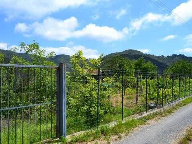 Villa in vendita a Ceriana IM