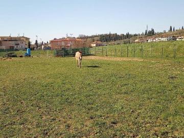 Villa in vendita a Cerreto Guidi FI