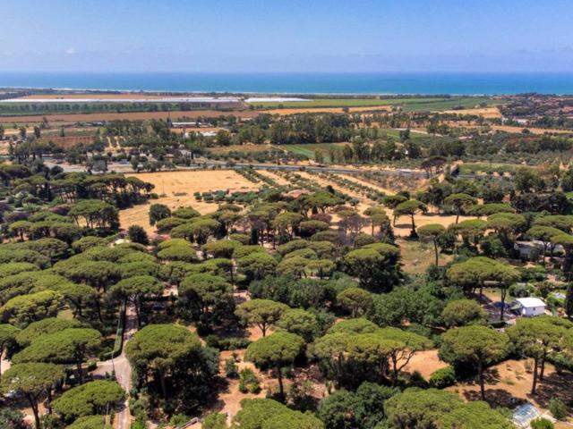 Villa in vendita a Cerveteri RM