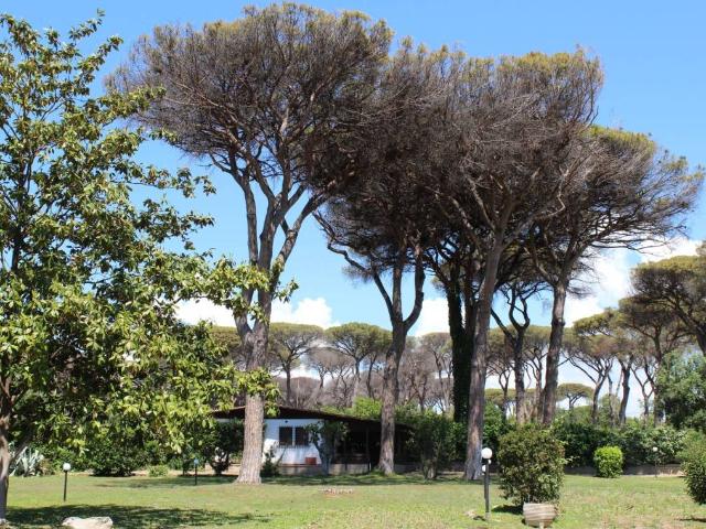 Villa in vendita a Cerveteri RM