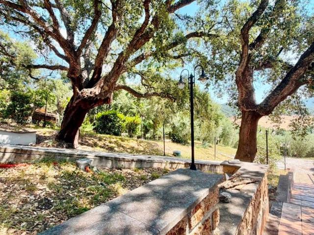 Villa in vendita a Cerveteri RM