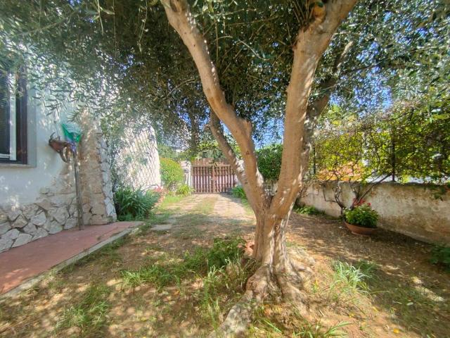 Villa in vendita a Cerveteri RM