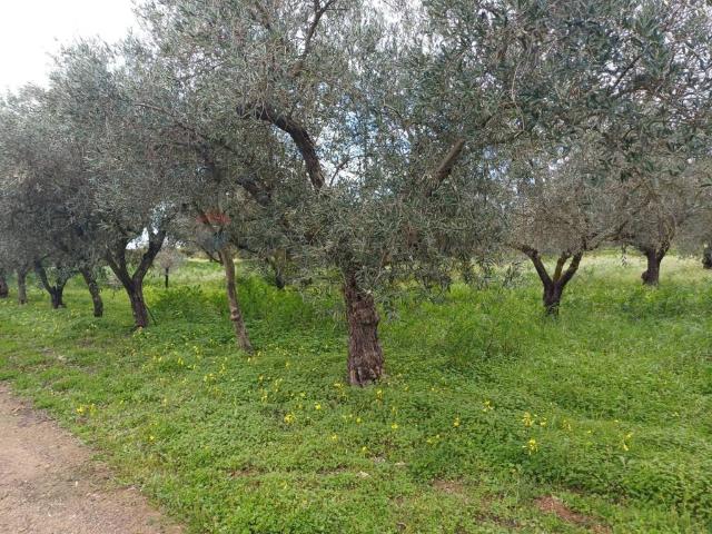 Villa in vendita a Chiaramonte Gulfi RG