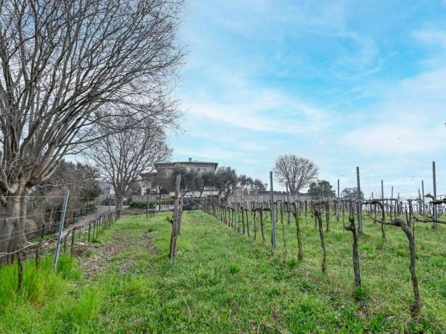 Villa in vendita a Chiuduno BG