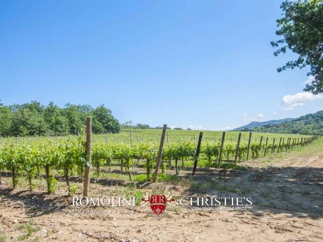 Villa in vendita a Città della Pieve PG