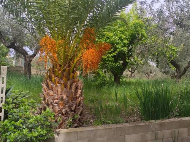 Villa in vendita a Città Sant'Angelo PE