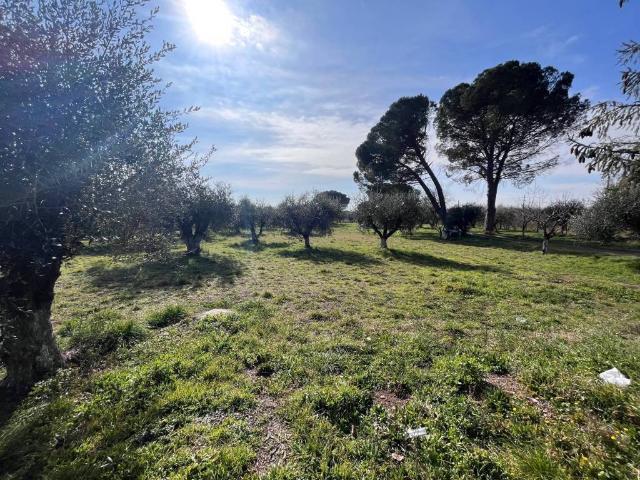 Villa in vendita a Civita Castellana VT